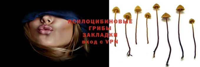мяу мяу мука Лабытнанги