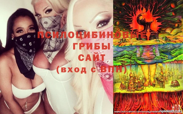 твердый Братск
