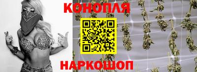 mdpv Новодвинск