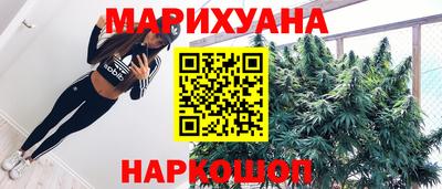 mdpv Новодвинск