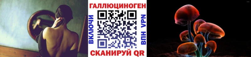 Псилоцибиновые грибы Psilocybe  Унеча 