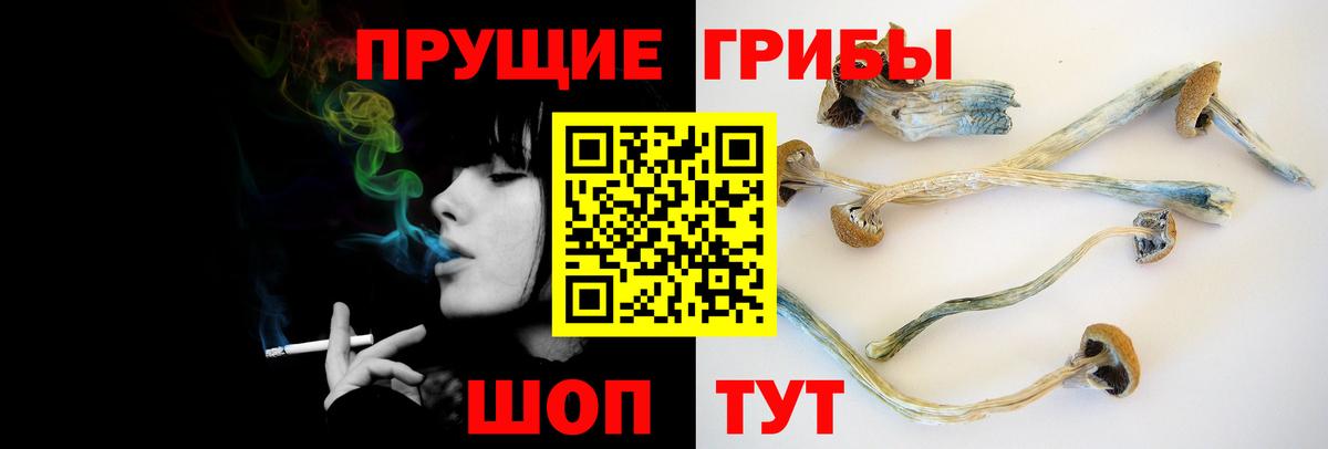 Псилоцибиновые грибы мицелий Унеча